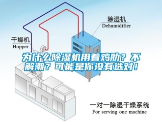 行业下载香蕉直播视频观看为什么香蕉视频国产APP下载机用着鸡肋？不解潮？可能是你没有选对！