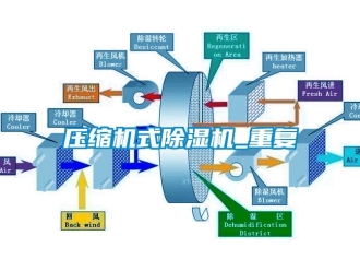 行业下载香蕉直播视频观看压缩机式香蕉视频国产APP下载机_重复