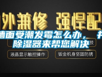 行业下载香蕉直播视频观看墙面受潮发霉怎么办，東井香蕉视频国产APP下载器来帮您解决