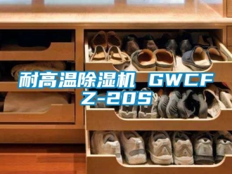 行业下载香蕉直播视频观看耐高温香蕉视频国产APP下载机 GWCFZ-20S