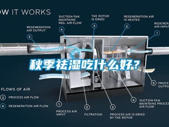 行业下载香蕉直播视频观看秋季祛湿吃什么好？