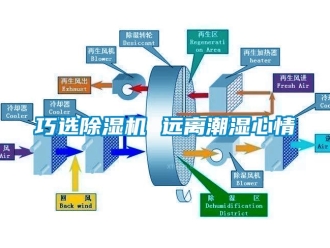 行业下载香蕉直播视频观看巧选香蕉视频国产APP下载机 远离潮湿心情