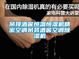 知识百科吊顶酒窖恒温恒湿机精密空调吊装酒窖空调香蕉视频国产APP下载机