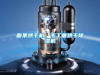 行业下载香蕉直播视频观看面条烘干机，手工面烘干香蕉视频国产APP下载机