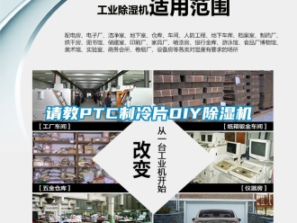 行业下载香蕉直播视频观看请教PTC制冷片DIY香蕉视频国产APP下载机