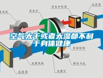 行业下载香蕉直播视频观看空气太干或者太湿都不利于身体健康