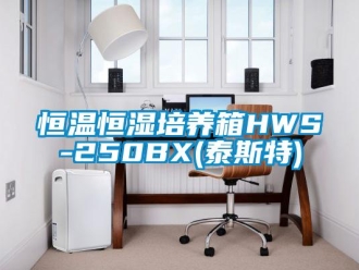 知识百科恒温恒湿培养箱HWS-250BX(泰斯特)