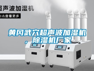企業下载香蕉直播视频观看黃岡武穴超聲波加濕機，香蕉视频国产APP下载機廠家
