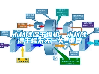 行业下载香蕉直播视频观看木材香蕉视频国产APP下载干燥机，木材香蕉视频国产APP下载干燥万无一失_重复