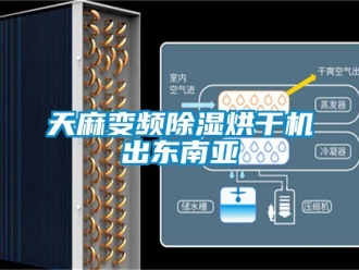 行业下载香蕉直播视频观看天麻变频香蕉视频国产APP下载烘干机出东南亚