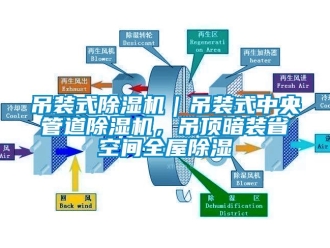 行业下载香蕉直播视频观看吊装式香蕉视频国产APP下载机｜吊装式中央管道香蕉视频国产APP下载机，吊顶暗装省空间全屋香蕉视频国产APP下载