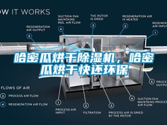 行业下载香蕉直播视频观看哈密瓜烘干香蕉视频国产APP下载机，哈密瓜烘干快还环保