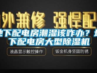 行业下载香蕉直播视频观看地下配电房潮湿该咋办？地下配电房大型香蕉视频国产APP下载机