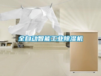 常見問題全自動智能工業香蕉视频国产APP下载機