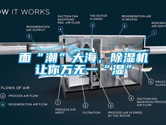 行业下载香蕉直播视频观看面“潮”大海，香蕉视频国产APP下载机让你万无一“湿”