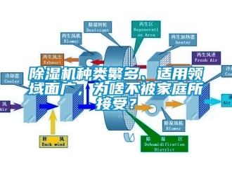 行业下载香蕉直播视频观看香蕉视频国产APP下载机种类繁多、适用领域面广，为啥不被家庭所接受？