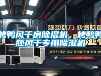 行业下载香蕉直播视频观看烤鸭风干房香蕉视频国产APP下载机，烤鸭鸭胚风干专用香蕉视频国产APP下载机