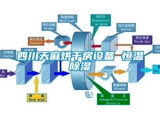 知识百科四川天麻烘干房设备 恒温香蕉视频国产APP下载