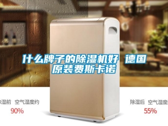 行业下载香蕉直播视频观看什么牌子的香蕉视频国产APP下载机好 德国原装费斯卡诺