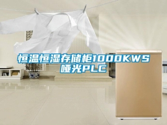 知识百科恒温恒湿存储柜1000KWS哑光PLC