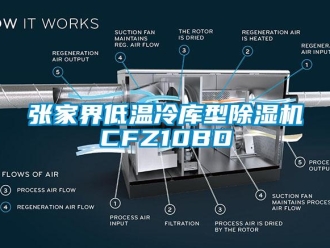 行业下载香蕉直播视频观看张家界低温冷库型香蕉视频国产APP下载机CFZ10BD