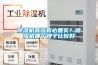 香蕉视频国产APP下载機有沒有必要買？香蕉视频国产APP下载機哪個牌子比較好