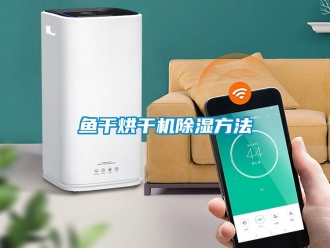 行業下载香蕉直播视频观看魚幹烘幹機香蕉视频国产APP下载方法