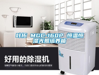 知识百科叶拓 MGC-160P 恒温恒湿光照培养箱