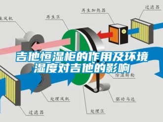 知识百科吉他恒湿柜的作用及环境湿度对吉他的影响