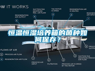 知识百科恒温恒湿培养箱的菌种如何保存？