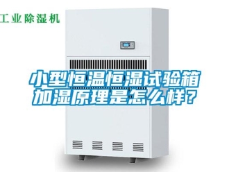 知识百科小型恒温恒湿试验箱加湿原理是怎么样？