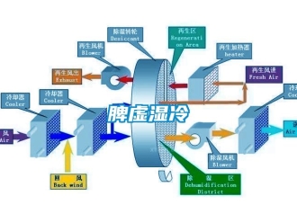 行业下载香蕉直播视频观看脾虚湿冷