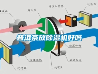 行业下载香蕉直播视频观看普洱茶放香蕉视频国产APP下载机好吗