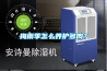 梅雨季怎么养护多肉？