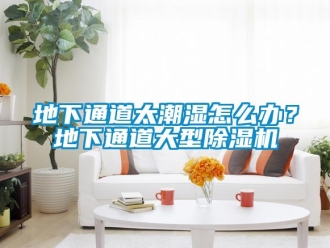 行业下载香蕉直播视频观看地下通道太潮湿怎么办？地下通道大型香蕉视频国产APP下载机