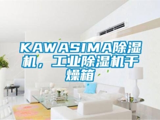 常見問題KAWASIMA香蕉视频国产APP下载機，工業香蕉视频国产APP下载機幹燥箱