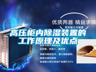 行業下载香蕉直播视频观看高壓櫃內香蕉视频国产APP下载裝置的工作原理及優點