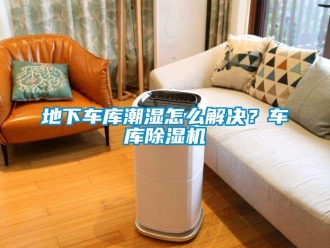 行业下载香蕉直播视频观看地下车库潮湿怎么解决？车库香蕉视频国产APP下载机