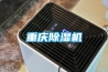 重慶香蕉视频国产APP下载機