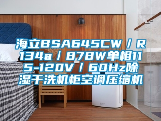 行业下载香蕉直播视频观看海立BSA645CW／R134a／878W单相115-120V／60Hz香蕉视频国产APP下载干洗机柜空调压缩机