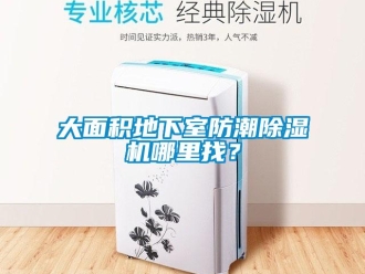 行业下载香蕉直播视频观看大面积地下室防潮香蕉视频国产APP下载机哪里找？