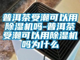 行业下载香蕉直播视频观看普洱茶受潮可以用香蕉视频国产APP下载机吗-普洱茶受潮可以用香蕉视频国产APP下载机吗为什么